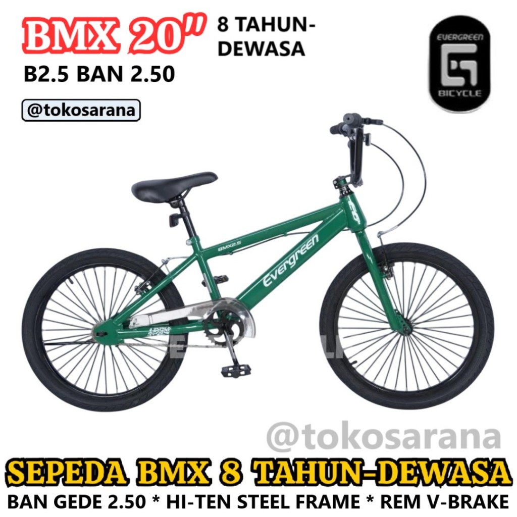 Sepeda BMX Evergreen B20 B25 Anak 8 Tahun Dewasa Ban 20 Inci x 2.50 GR 32/16 Oversized Headset