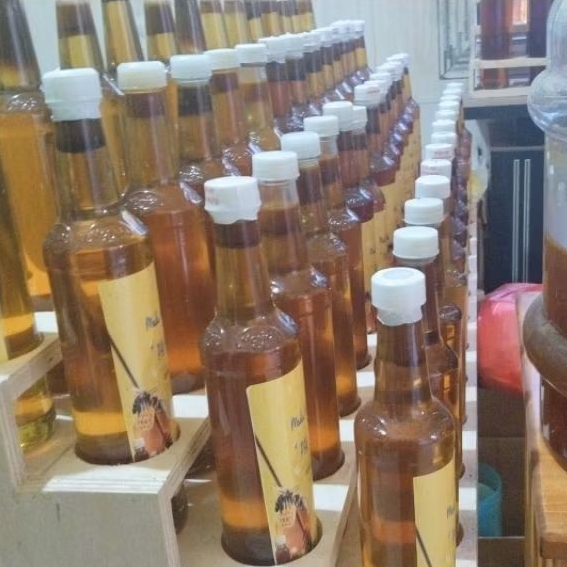 

MADU HUTAN ASLI LEBAH ODENG