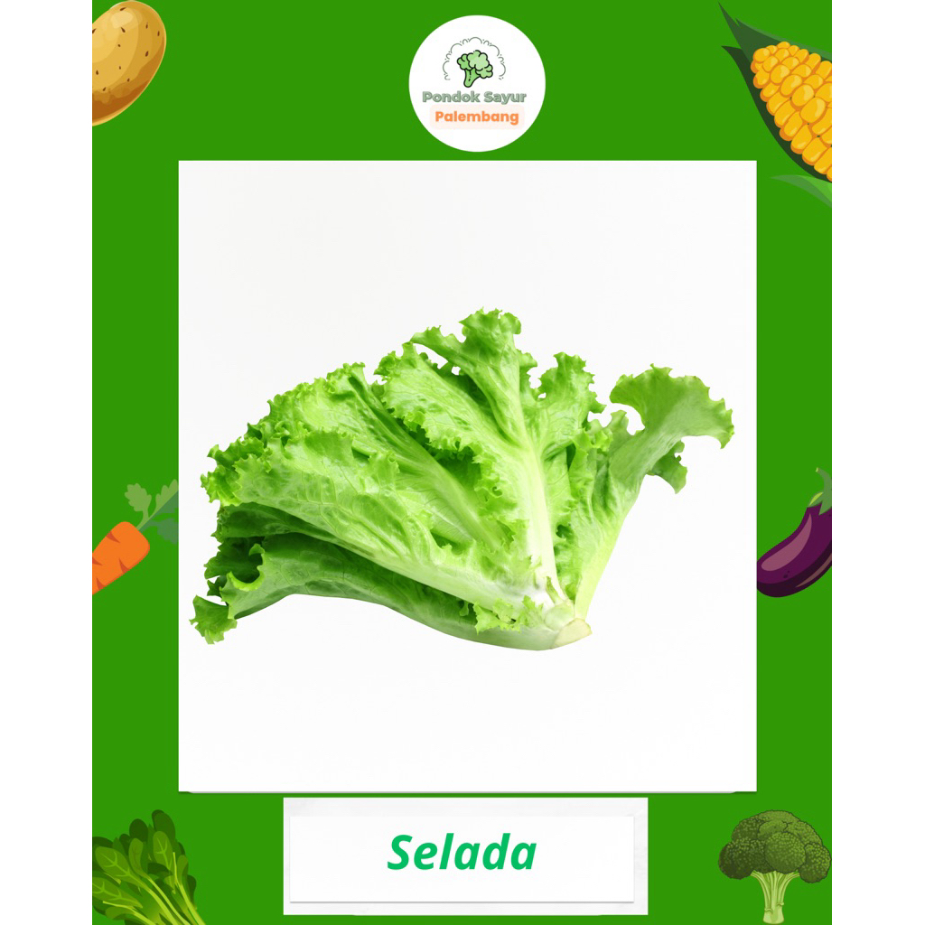 

SAYUR SELADA PONDOK SAYUR FRESH PALEMBANG