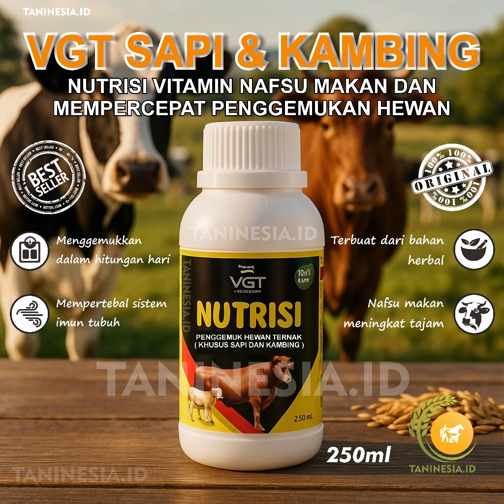VGT NUTRISI TERNAK KAMBING DAN SAPI PROBIOTIK TERNAK ORGANIK VITAMIN PENGGEMUK SAPI TERLARIS 250ML