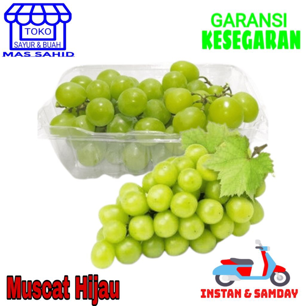 

Buah Anggur Muscat Hijau Anggur Shein Muscat ijo 400- 500 Gram kirim instan & somday