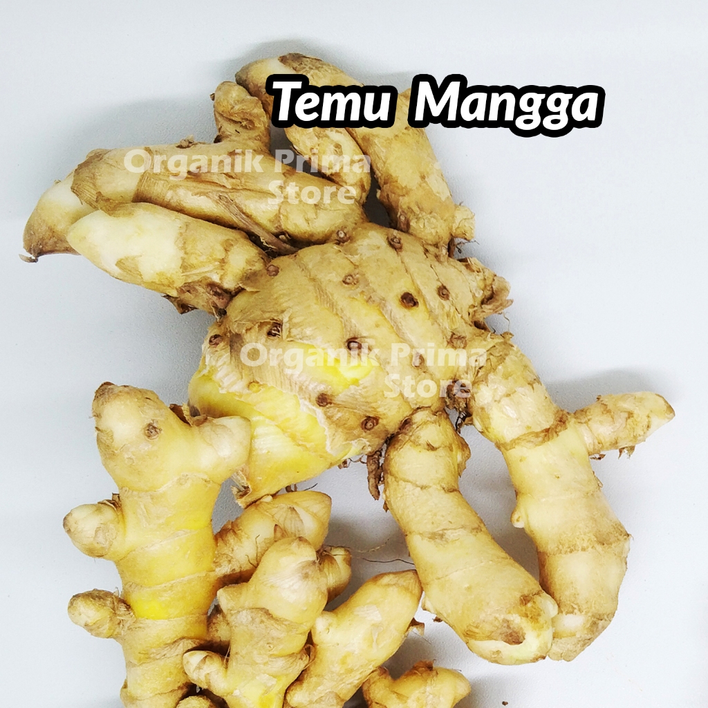 

Temu Mangga Segar 500gr Asli dan Organik