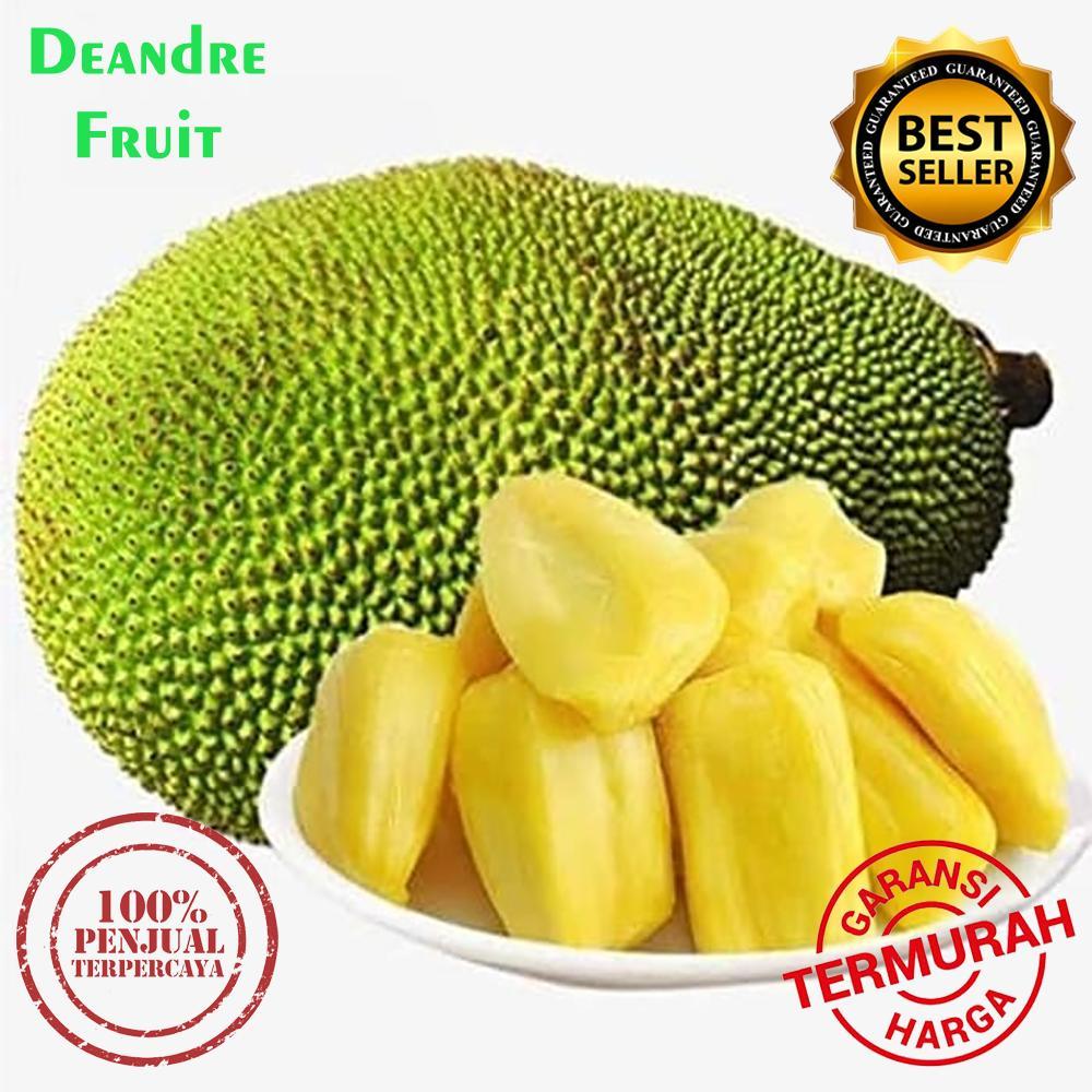 

PROMO MURAH 1kg Nangka Madu Super Frozen Buah Beku Honey Jackfruit M