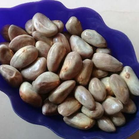 

GROSIR MURAH 1kg Biji Buah Nangka Madu Honey Jackfruit