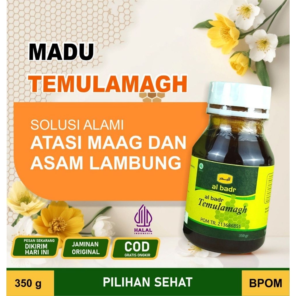 

madu lambung temulamagh