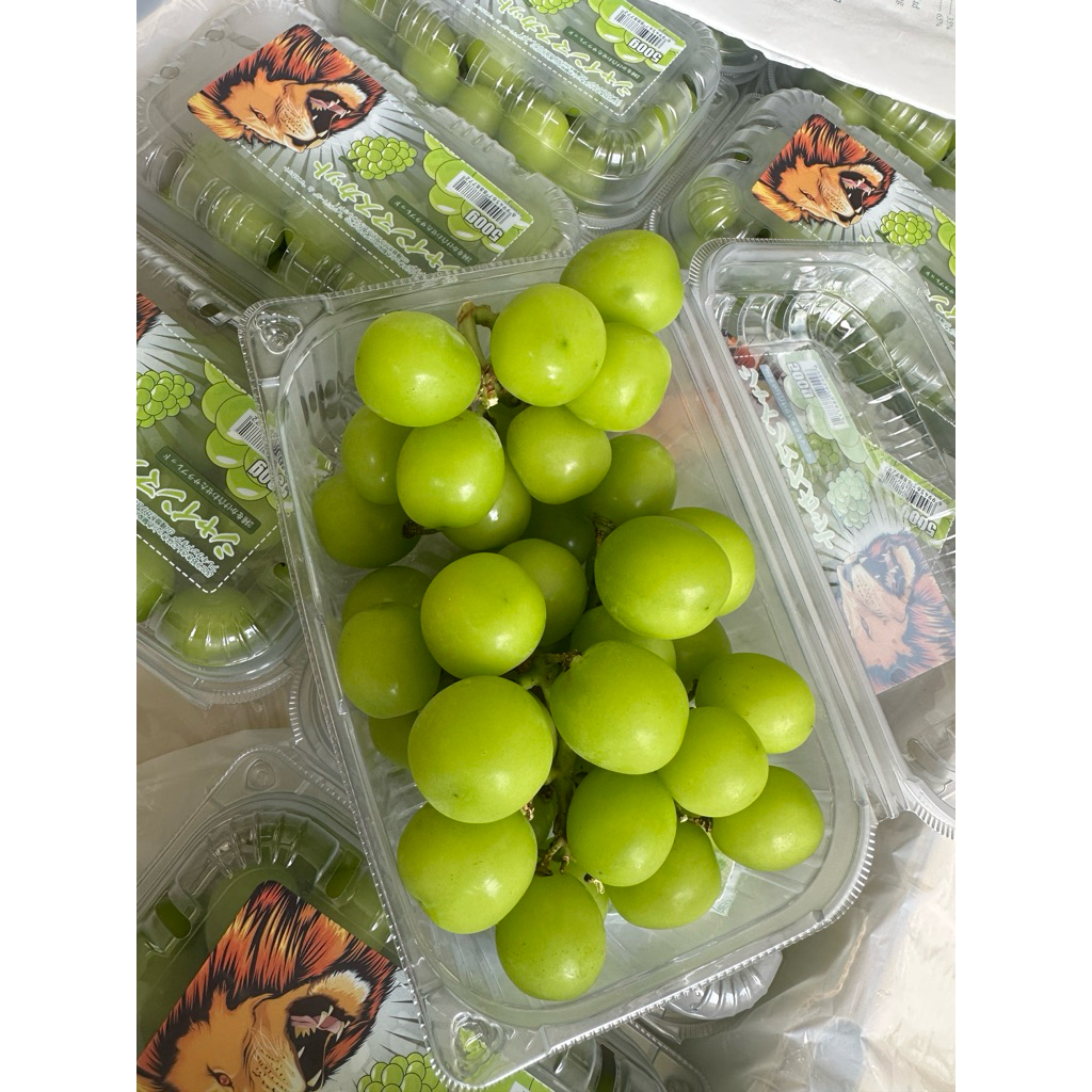 

ANGGUR SHINE MUSCAT 500G