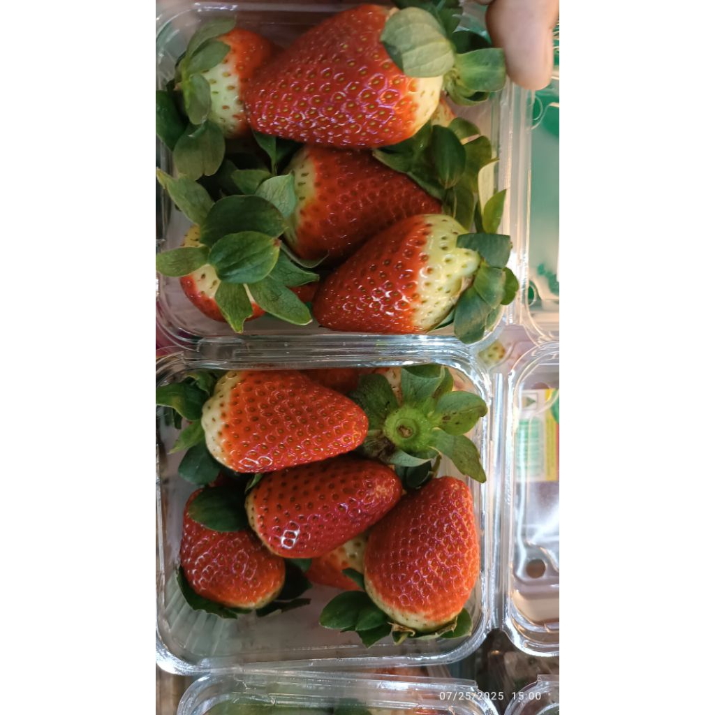 

strawberry Korea asli/pack
