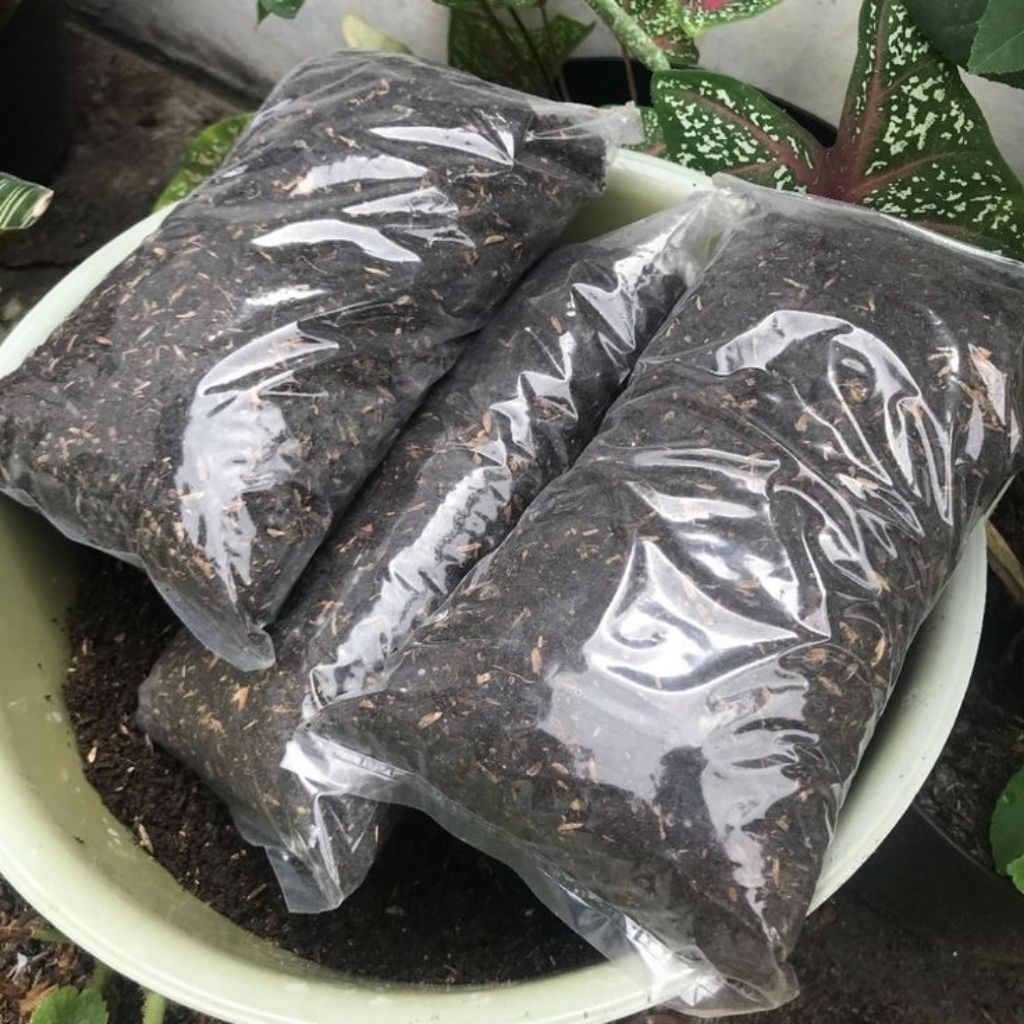 media tanam 1kg sekam bakar/sekam murni
