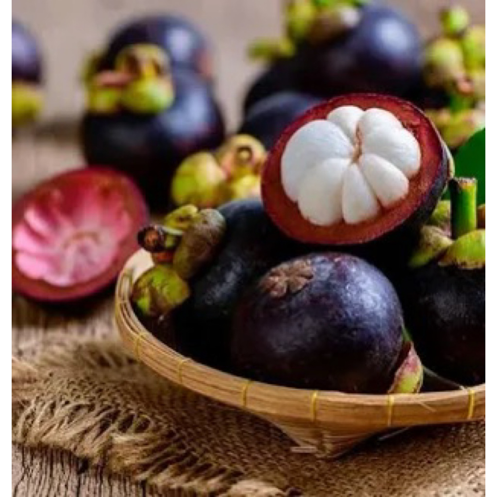 

1kg Buah Manggis fresh