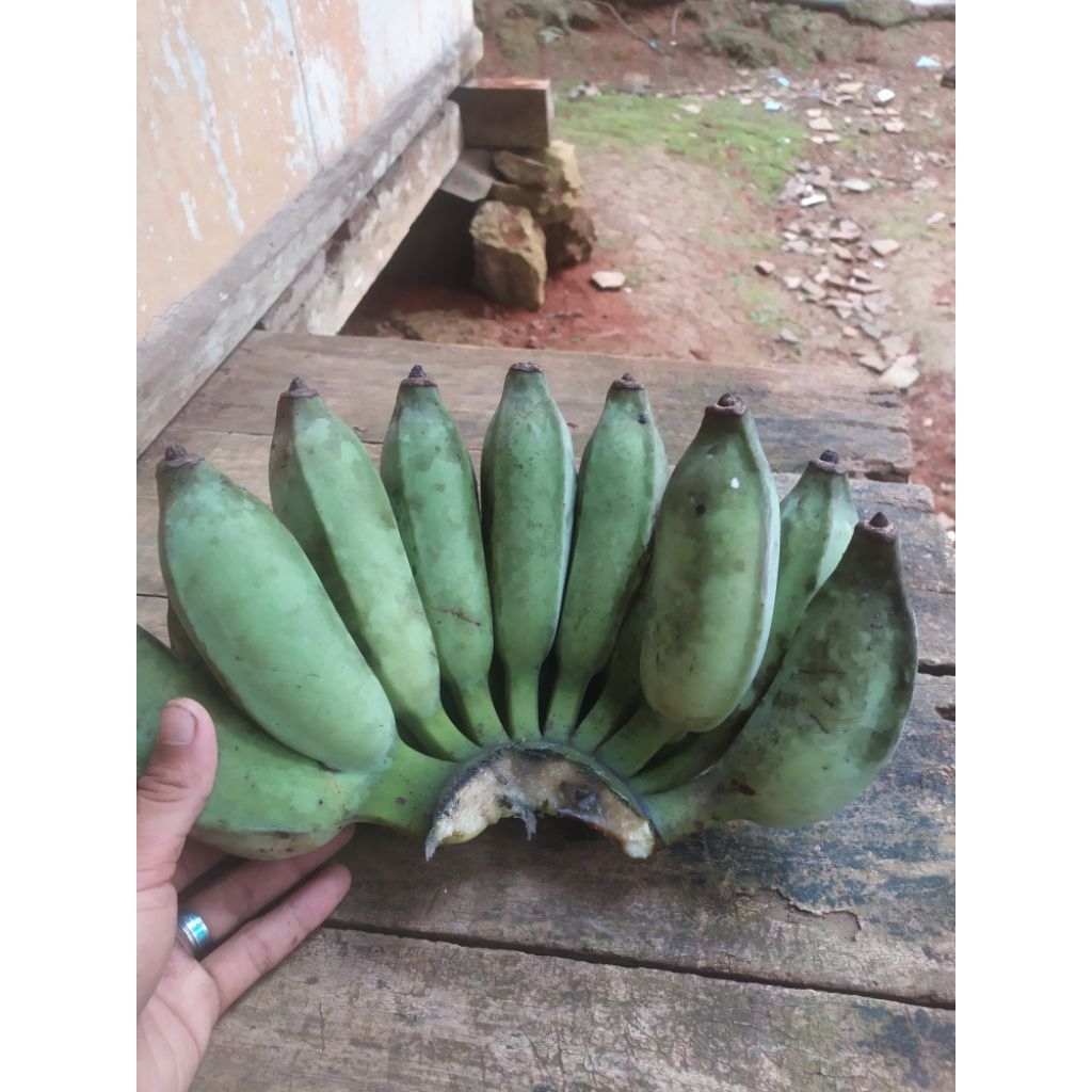 

PISANG KEPOK LOKAL PISANG KUNING PISANG SUPER PER5KG PROMO MINGGU INI