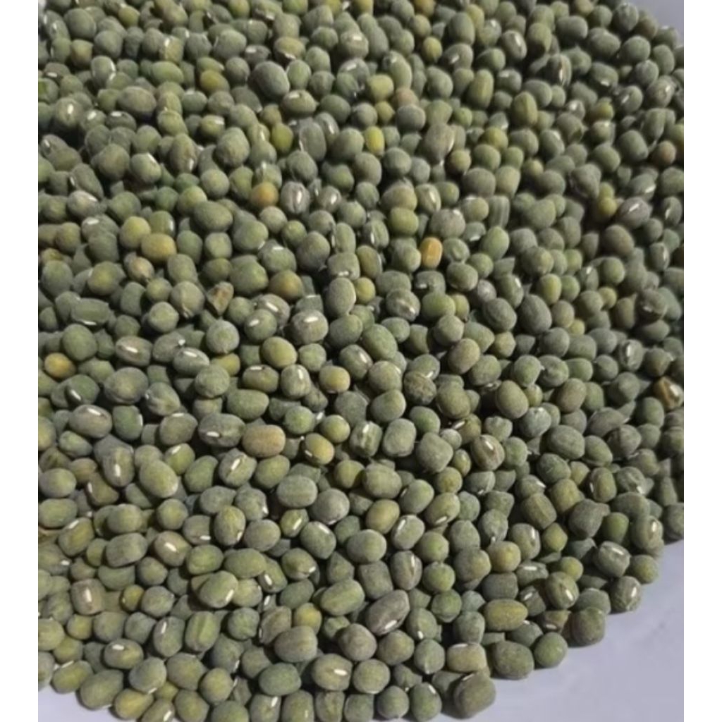 

Kacang ijo lokal 250 gram