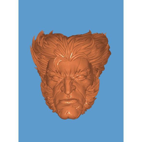 Headsculpt Head HS Logan Wolverine Mcfarlane Adam Muff Toys Notaman Shf NWToys Vtoys Romankey Marvel