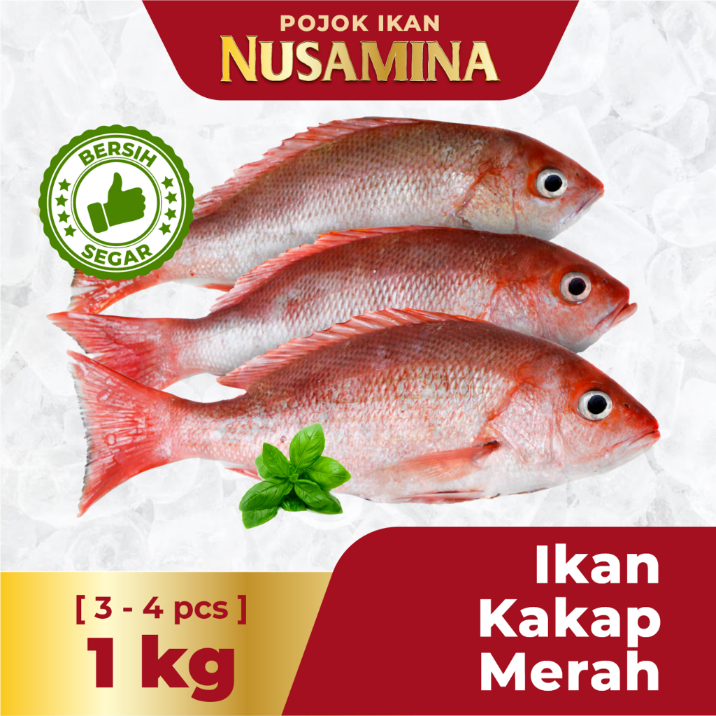 

Nusamina Ikan Kakap Merah Bersih Segar Frozen 1 pcs / 500-800gr