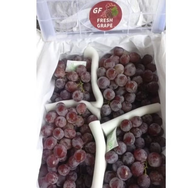 

Anggur Ungu RRC GF Berat 6,7 KG Per dus Per box Keranjang Fresh Jogja