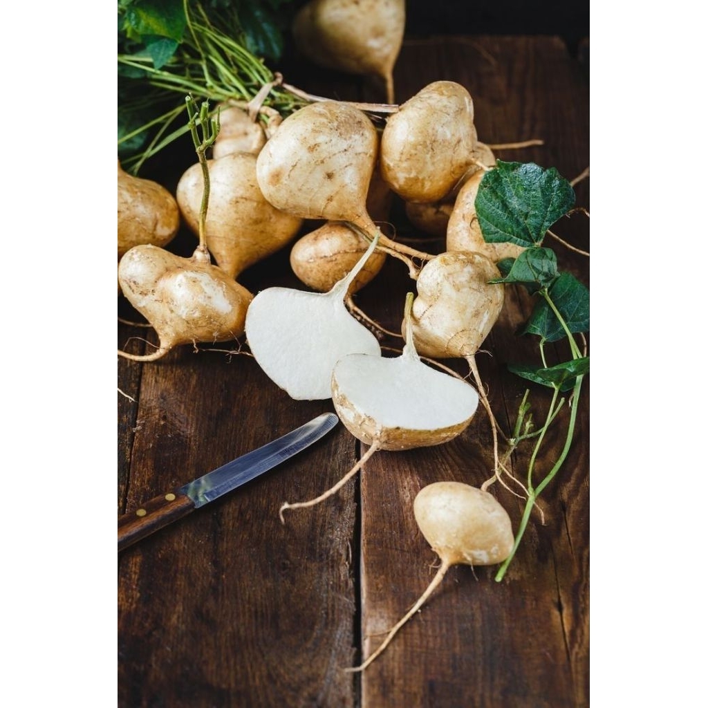 

BENGKUANG 1KG / BENGKOANG / FRESH FRUIT / FRUIT / BUAH BUAHAN SEGAR MURAH ONLINE SURABAYA