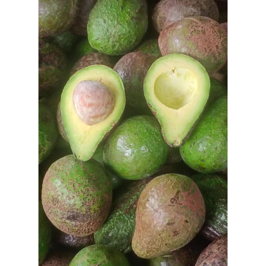 

alpukat madu netto 1000gr