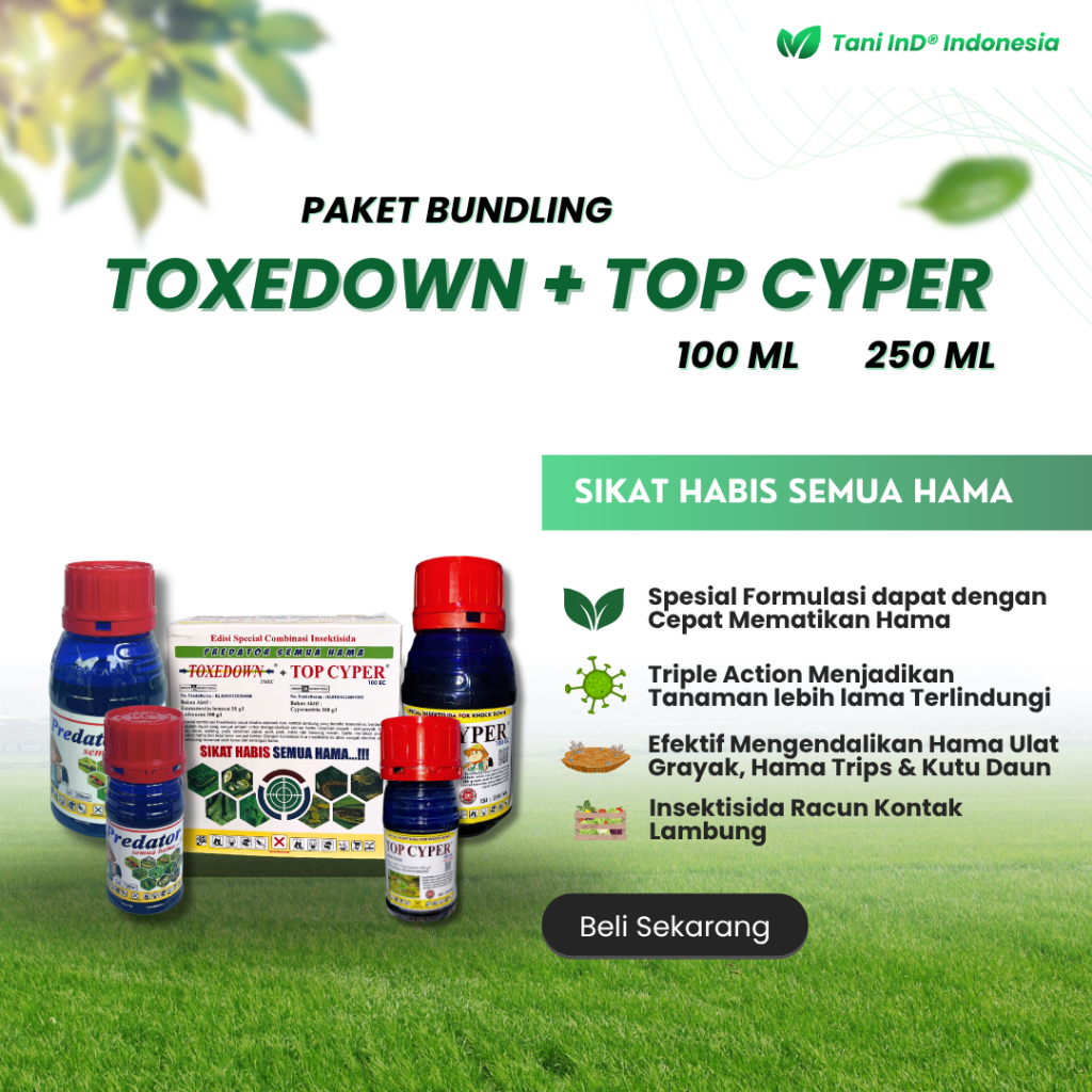 BUNDLING TOXEDOWN PLUS TOPCYPER membasmi ulat dan penggerek pada buah, daun dan umbi