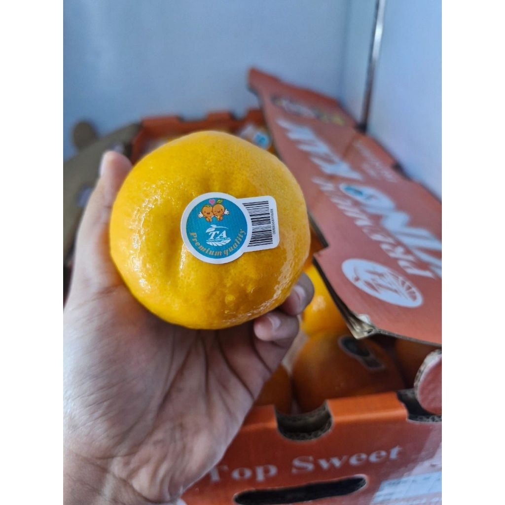 

Jeruk Wogan fresh import 1kg