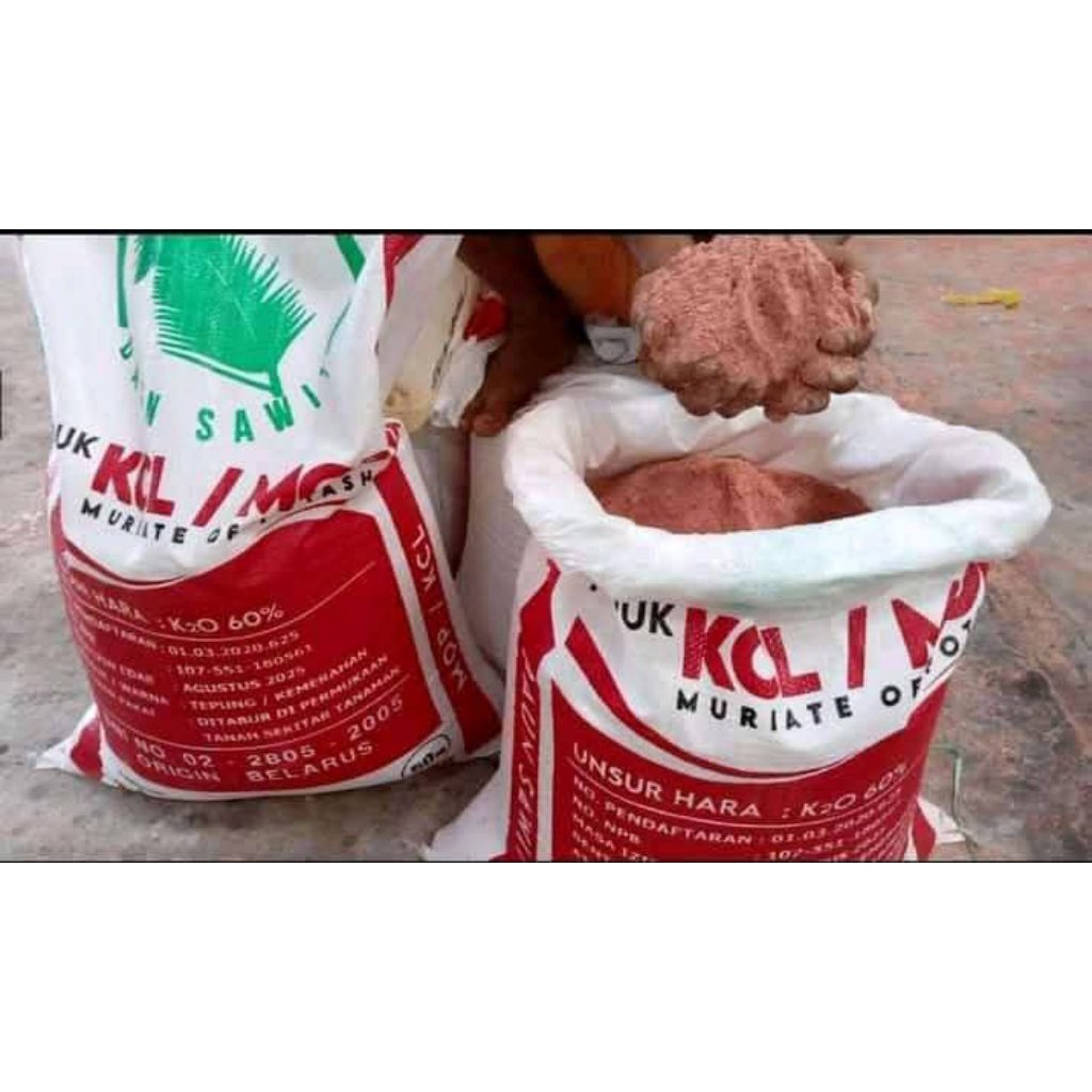 pupuk kcl daun sawit