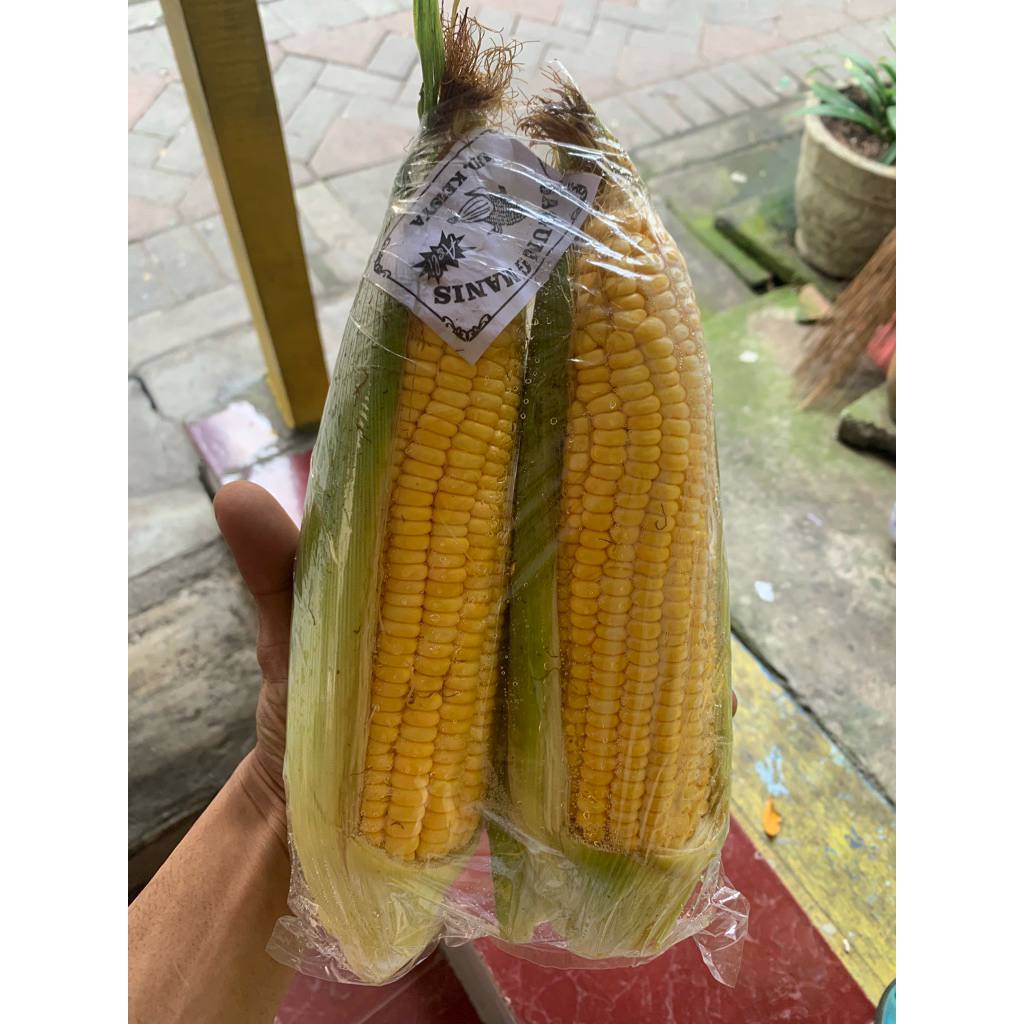 

Jagung Manis Fresh - 500gram