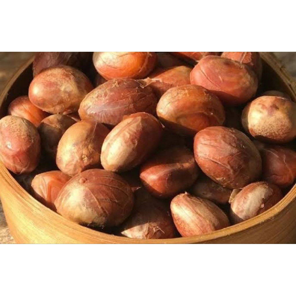 

biji cempedak mentah segar 500gram