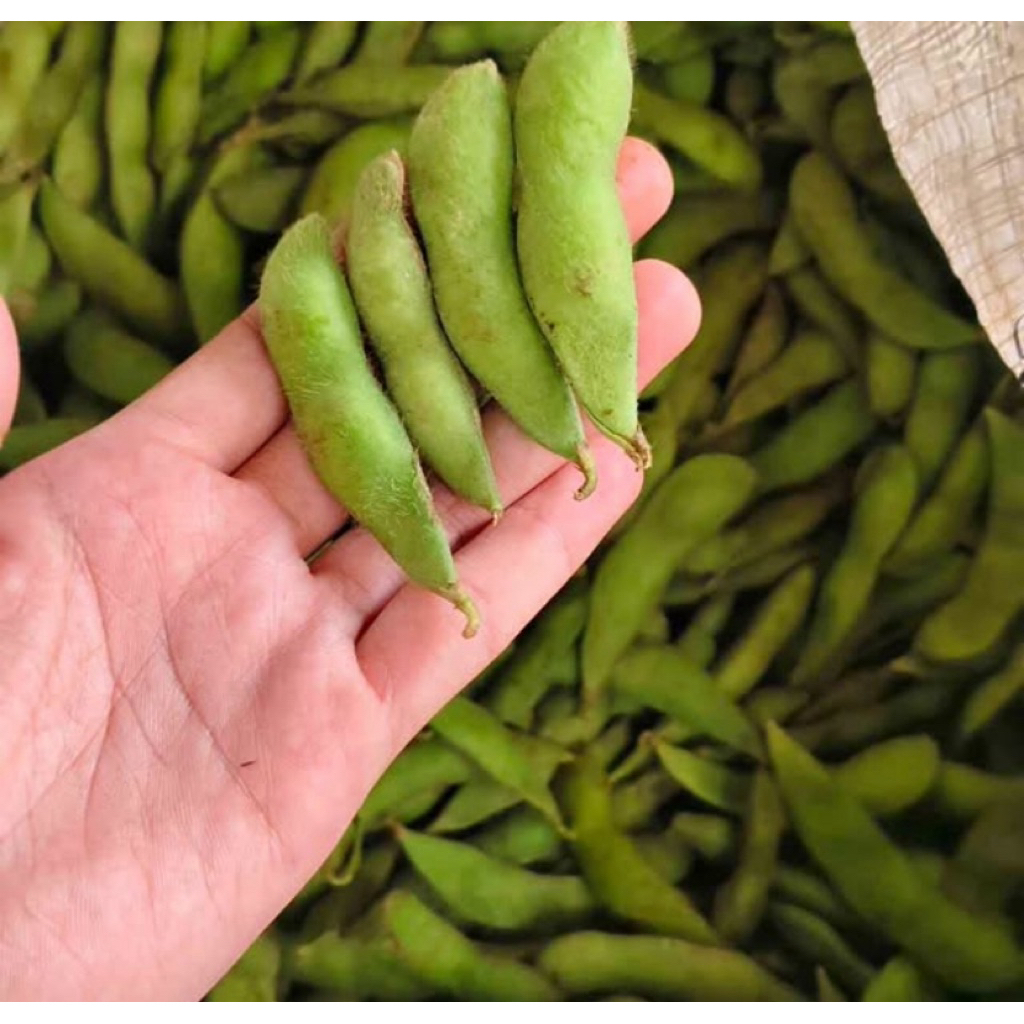

Edamame 1pack 500gram