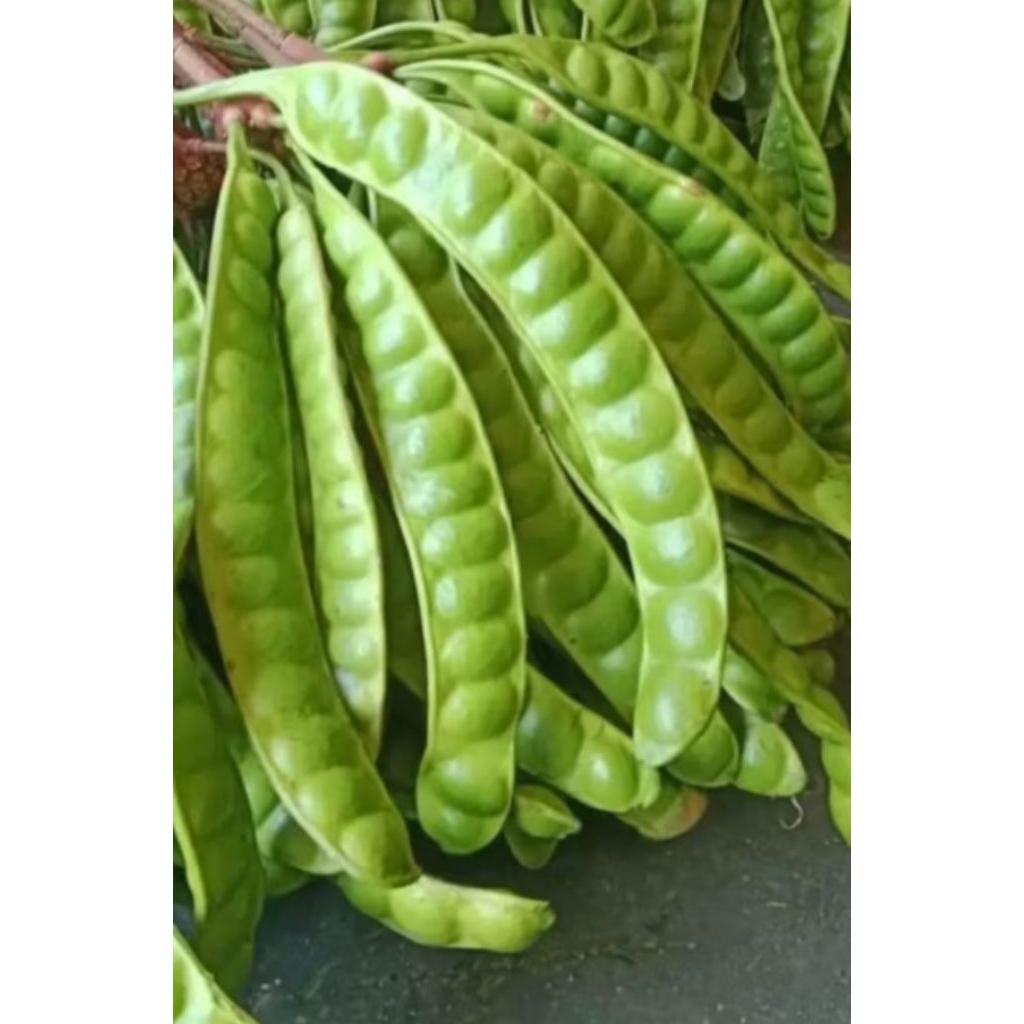 

Pete peuteuy per papan