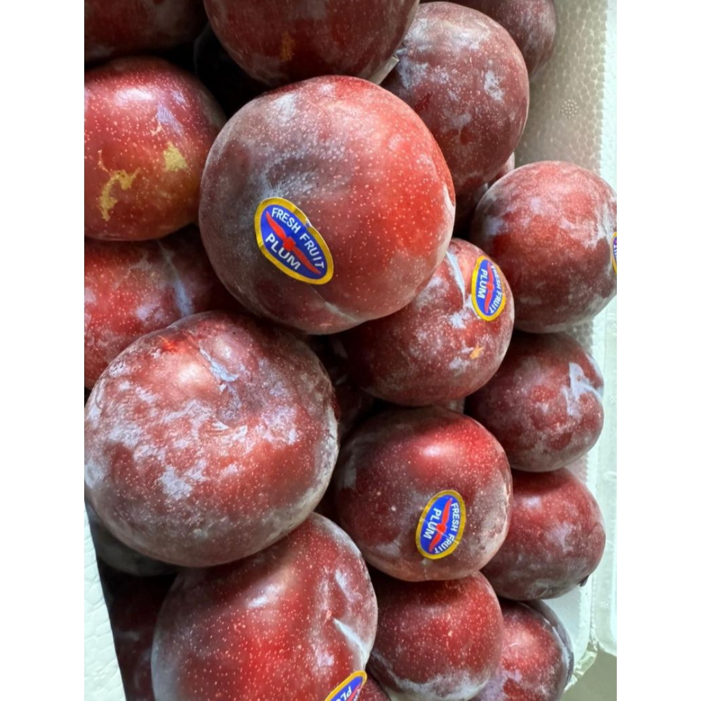 

buah plum merah per pack netto 500 gr
