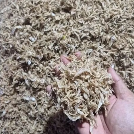 

Ebi Udang Kering Besar Gurih Wangi Siap Masak