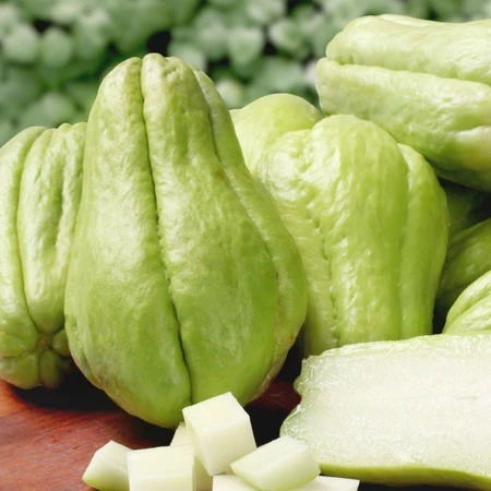 

labu siam kecil/ baby fresh Yang Di Ambil Langsung Dari Kebun 500gram/1kg