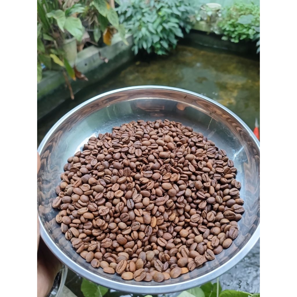 

Biji Kopi(Roast Bean) Arabika Ijen Anaerob 250gr | Fermentasi 96 Jam Specialty Coffee
