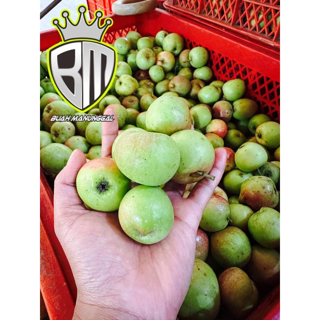 

Apel Manalagi ukuran 38-41 buah 1kg/Apel Malang/Apel Batu/Apel fresh