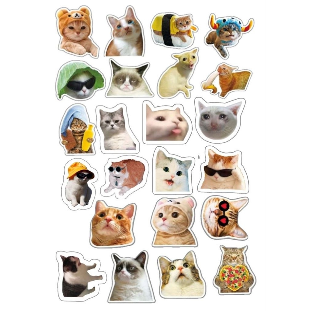 

Stiker pack Meme kucing lucu