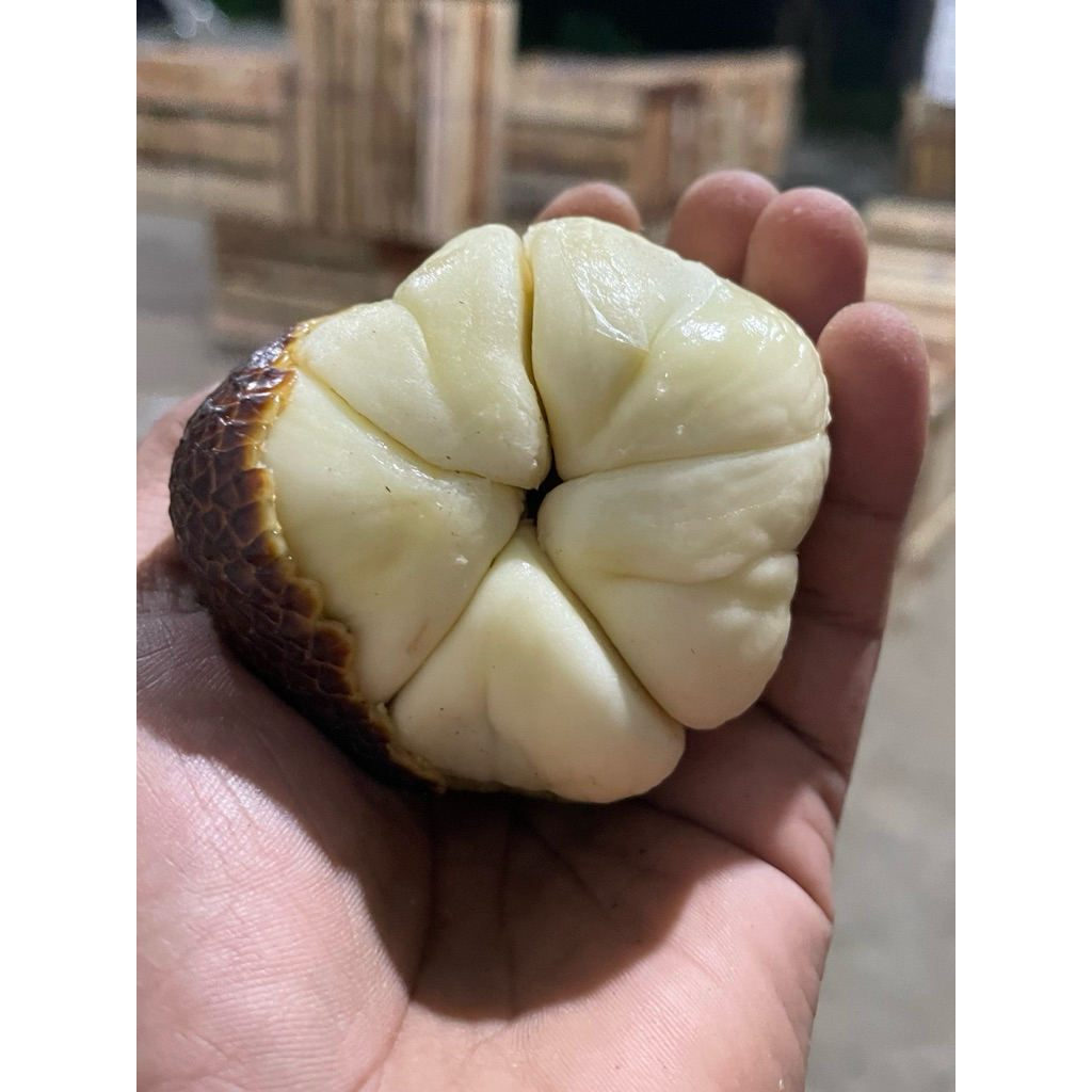 

Promo!!Salak Pondoh Pronojiwo super 1 kg (grade A)