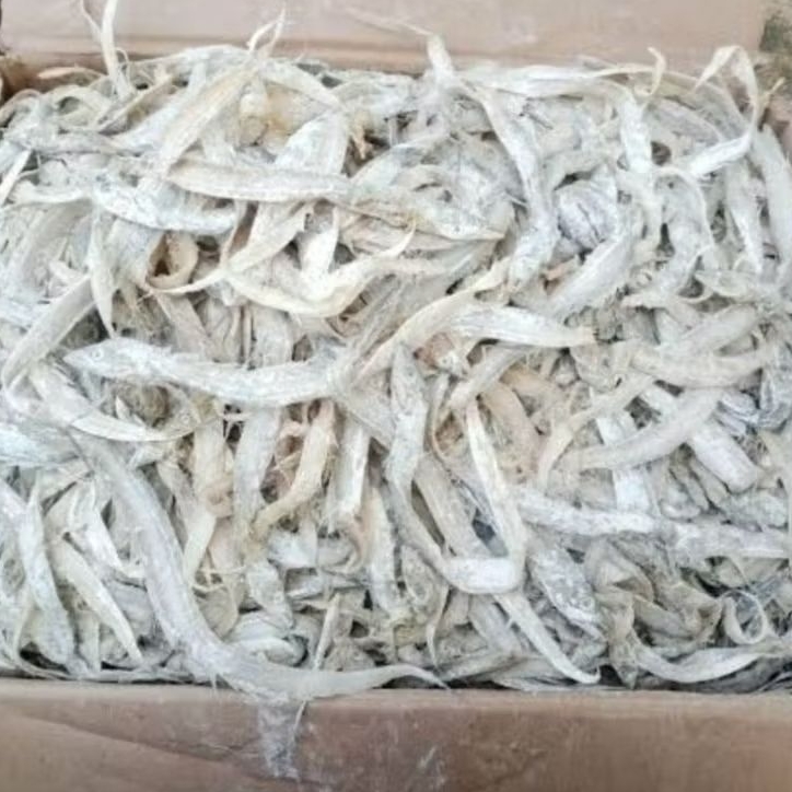 

ikan layur kering primium size kecil