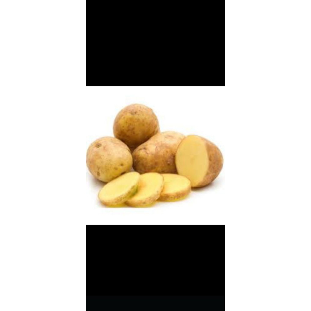 

kentang dieng besar besar 1kg 18000