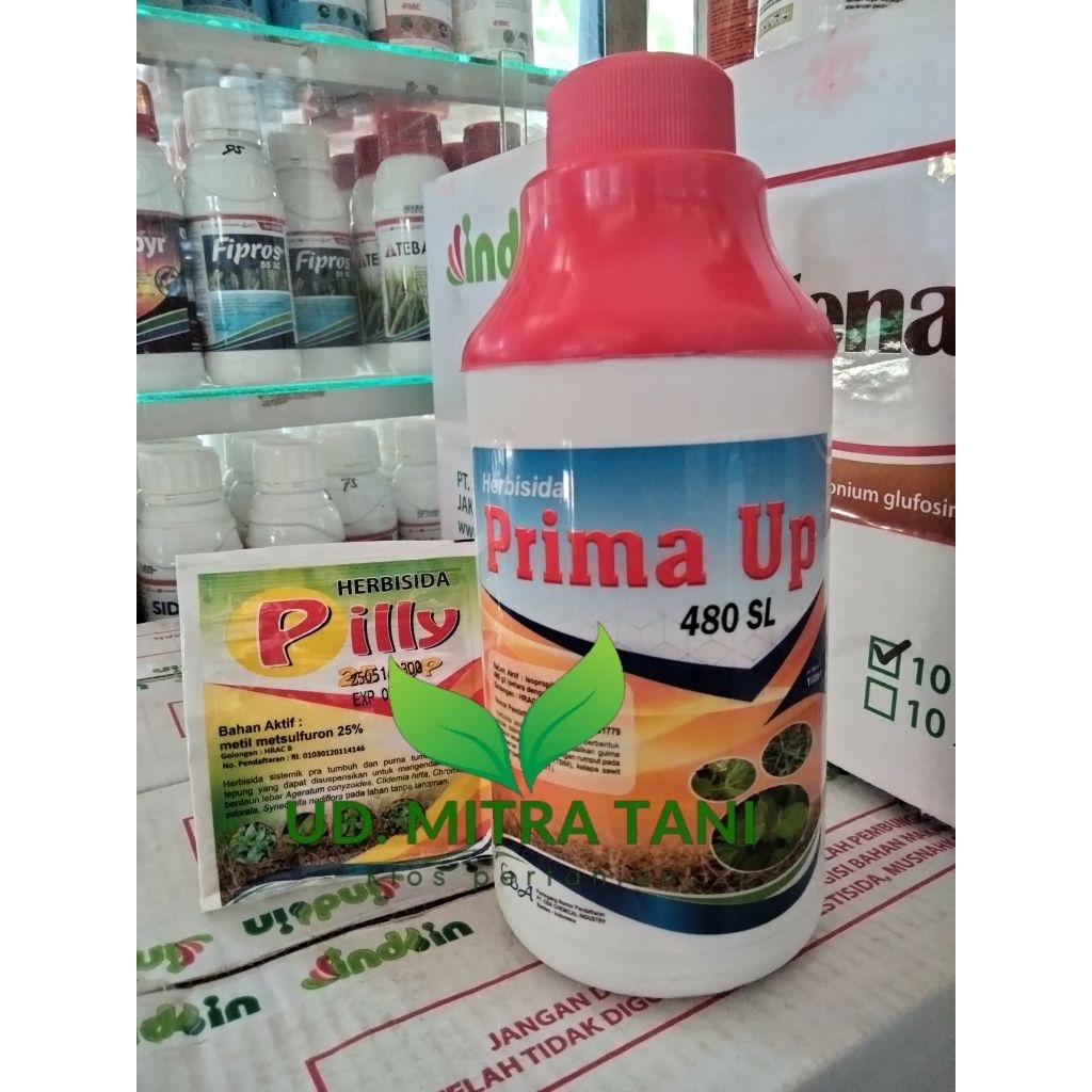 BAKAR RUMPUT SAMPAI AKAR || Herbisida sistemik racun rumput gulma PRIMA UP 480SL isopropil amina gli