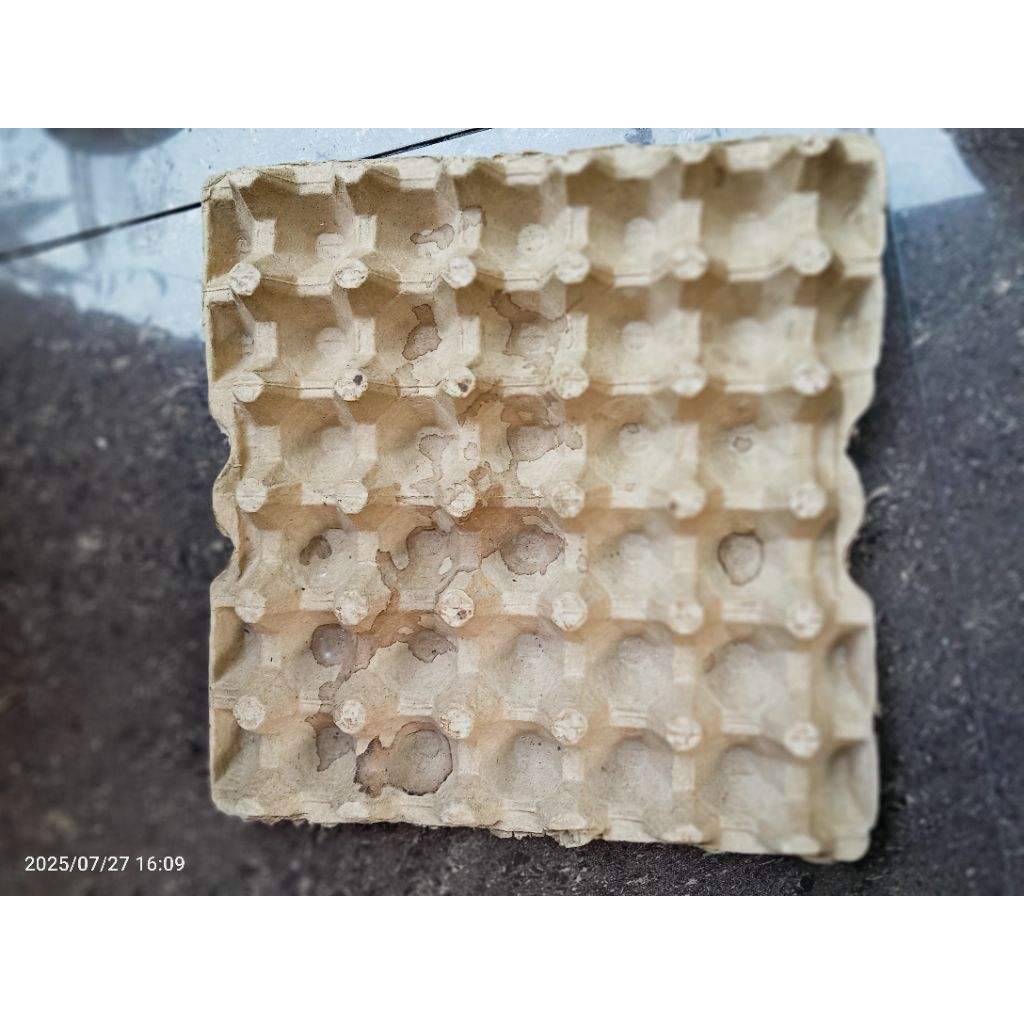 

Tray Telur Karton BEKAS / eggtray karton / Tempat Telur Horen (harga Per Pcs ) Gread B