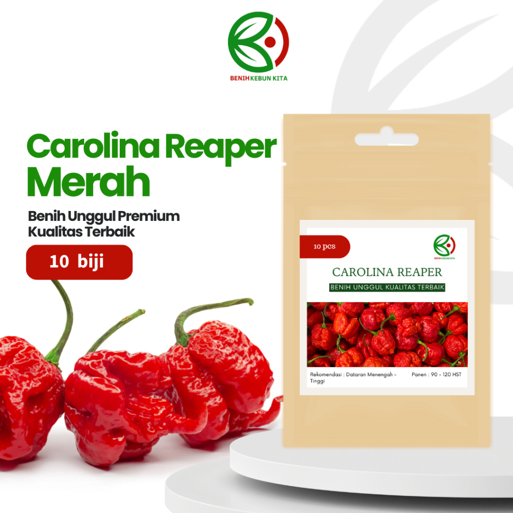 Benih/Biji/Seed Cabai/Cabe Super Pedas Carolina Reaper  Carolina Reaper Pepper