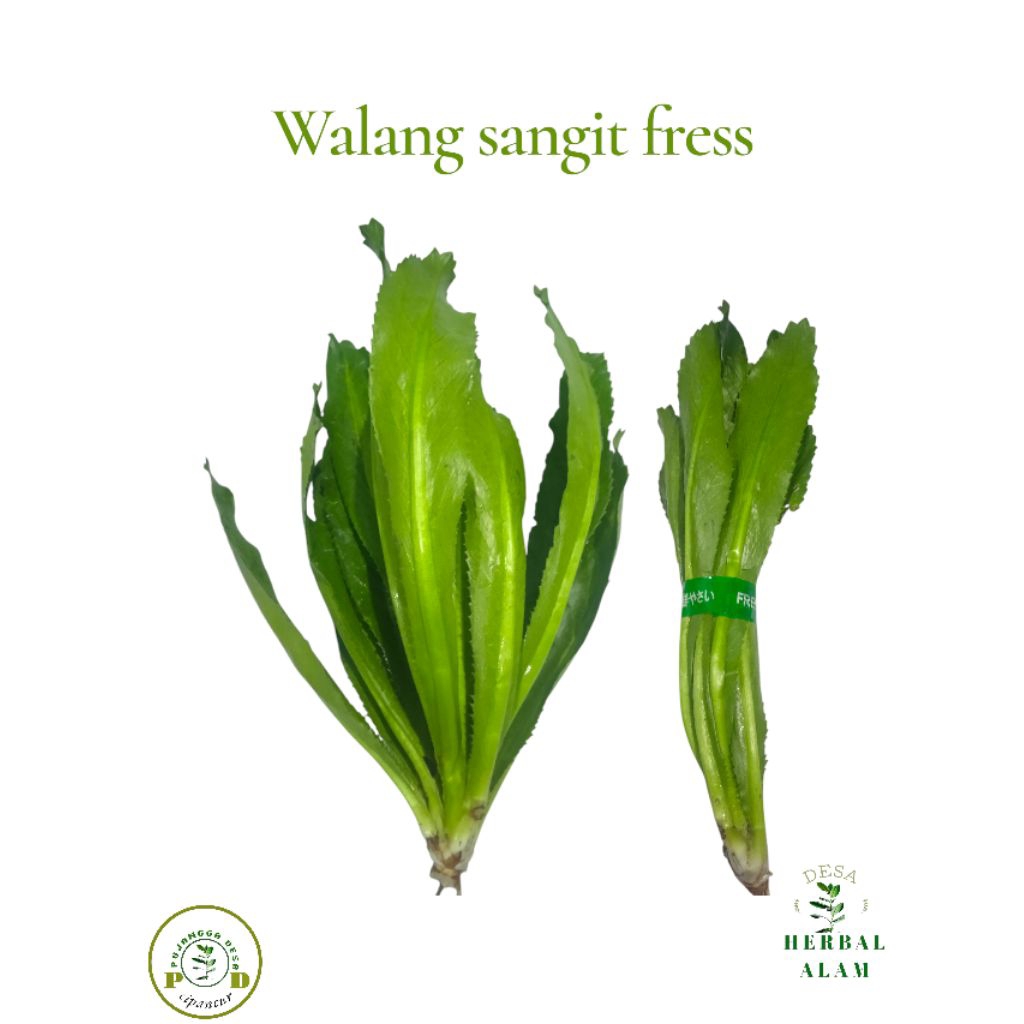 

Walang sangit fress 1 kg diambil saat ada orderan