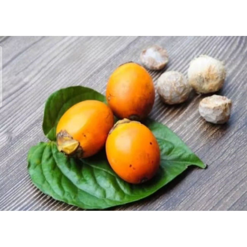 

pinang kupas dan pinang tua