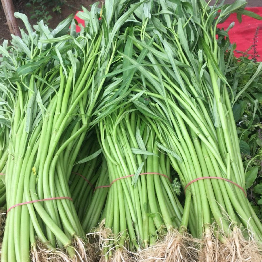 

Kangkung Eceran & Grosir