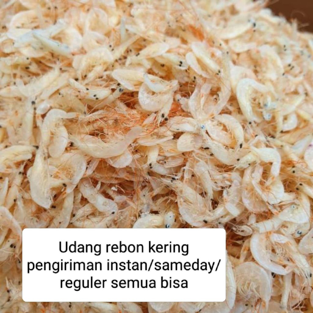 

Udang rebon kering asli dan kualitas bagus