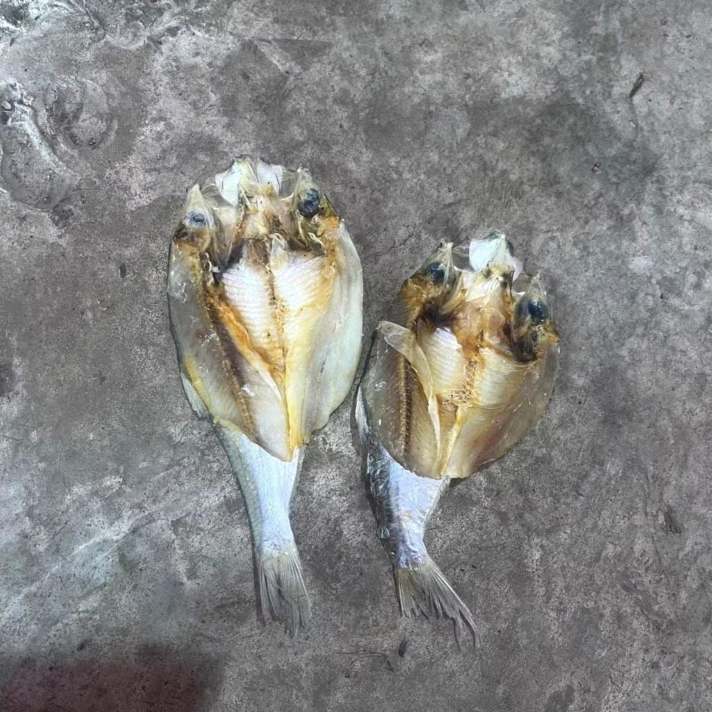 

TOKO 1 (READY IWAK KARING PUPUT)