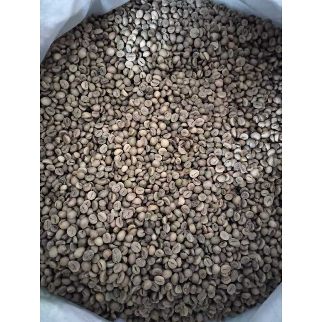 

Green Bean Kopi Robusta Gunung Palasari 1kg kopi mentah asli