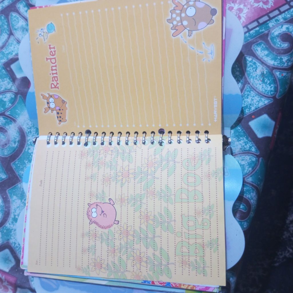 

All in Binder Koleksi pribadi binder dan isi Koleksi jadul /Binder A5 PAKET 8