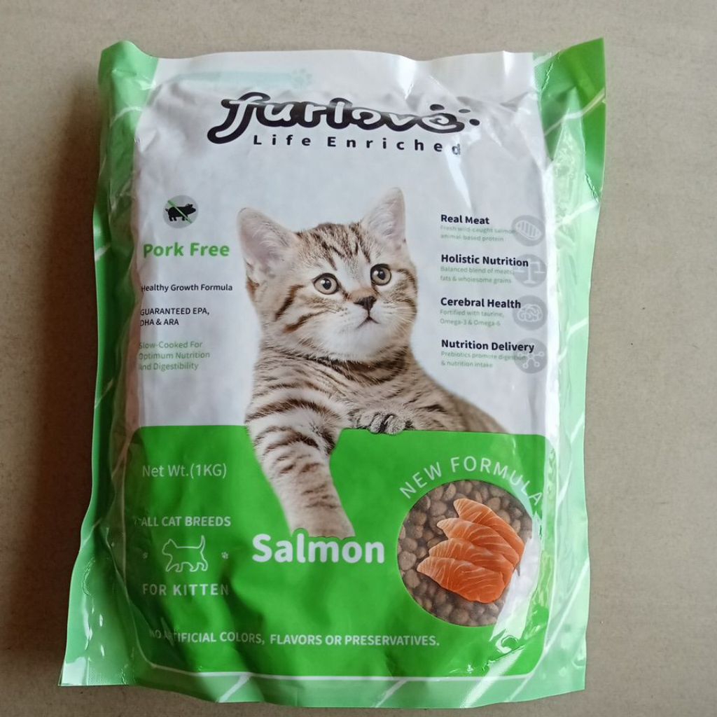 furlove salmon kitten