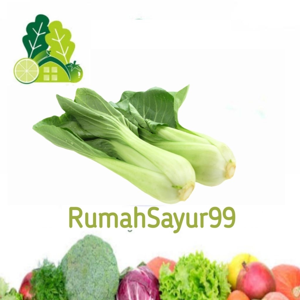 

Phak coy / Pakcoy segar ~Rumah Sayur 99~