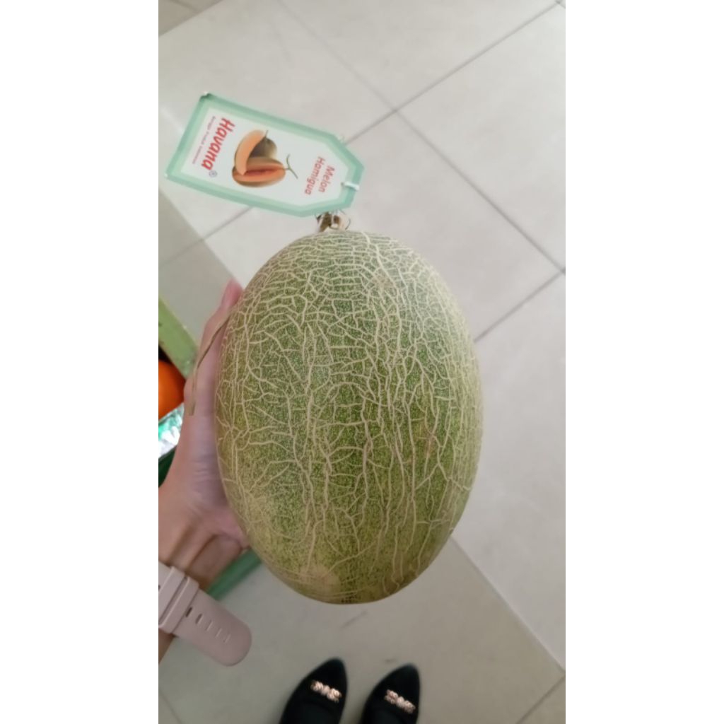 

Buah melon orange hamikua super fresh utuh melon manis premium 1 pcs