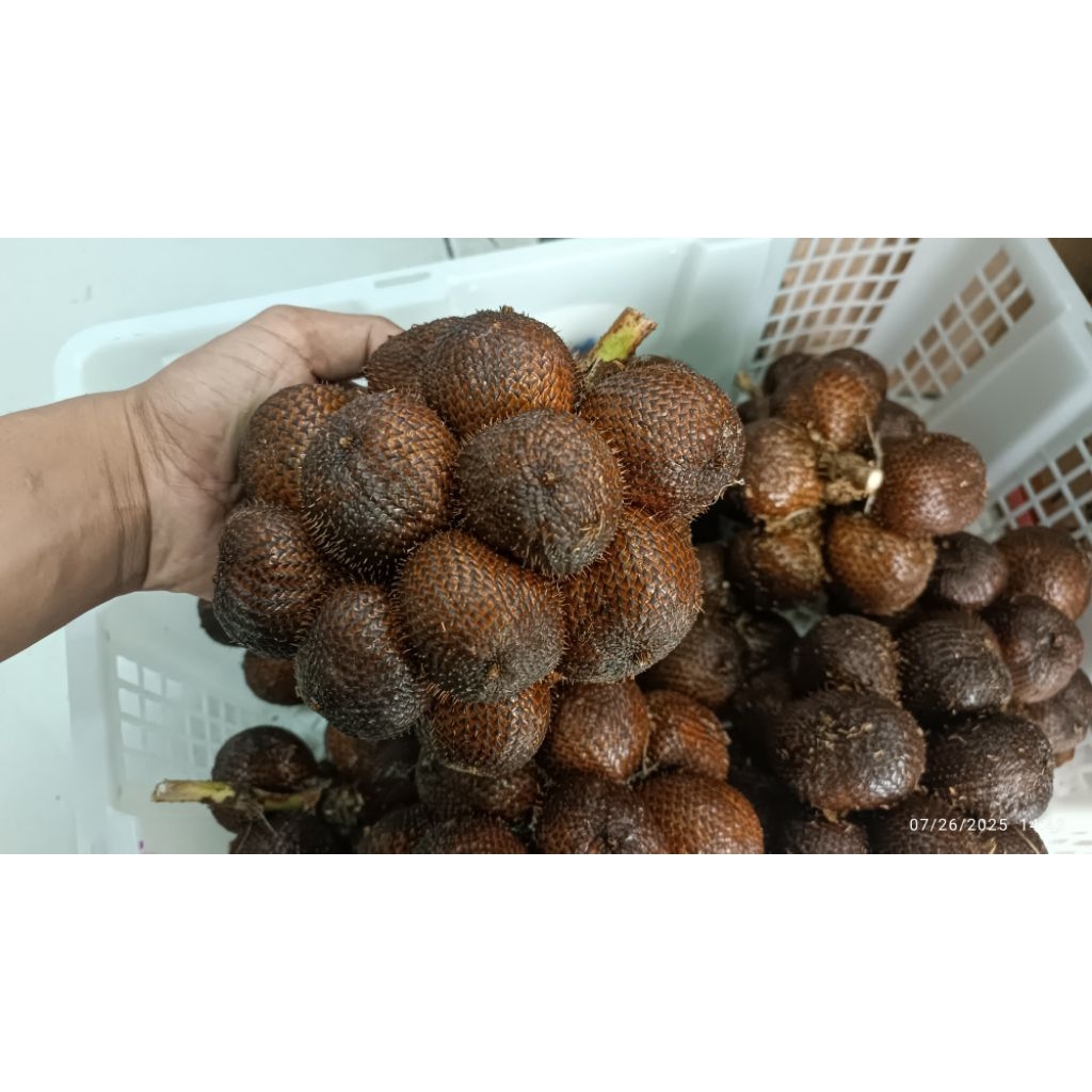 

salak gula pasir asli bali/kg
